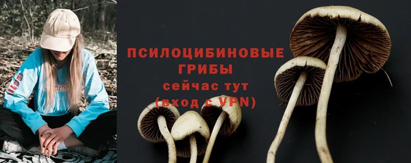 крисы Пестово