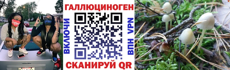 Галлюциногенные грибы MAGIC MUSHROOMS  Купить  Сланцы 
